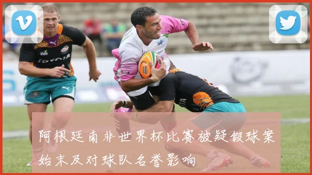 阿根廷南非世界杯比赛被疑假球案始末及对球队名誉影响